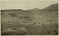 View of the 'Strath' and Native Dwellings, Abd-el-Kuri, 1898