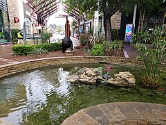 Outdoor pond