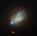 IC 559 is classified as a type Sm galaxy.[16]