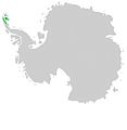 Distribution of Antarctopelta