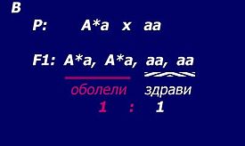 Аутозомно доминантно наслеђивање у браку оболелог и здравог родитеља