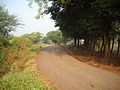 Unpaved backroad near Talavdi, Gujarat, India