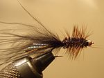 #6 Black and Brown Beadhead Woolly Bugger