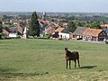 Vignette pour la version du 20 juin 2011 à 10:34