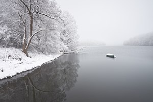 11. Platz: Doktent mit Nebel im Winter im Naturschutzgebiet Neyetalsperre