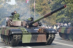 המצעד הצבאי המרכזי בורשה, 2008