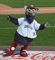 A person wearing a gray anthropomorphized furry pig costume dressed in a white baseball jersey dances on a baseball dugout.
