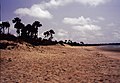 Image 6Gunjur is a small coastal town in south-western Gambia.