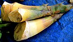 Bamboo Shoot (Ilo: Rabong or Tlg: Labong)