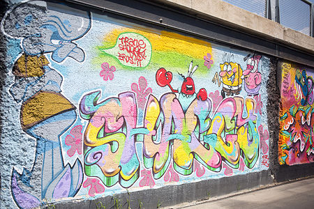 Graffiti alongside the Bloomingdale Trail in 2015
