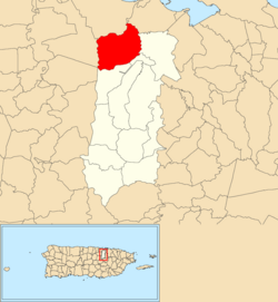 Location of Hato Tejas within the municipality of Bayamón shown in red