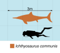 Ichthyosaurus