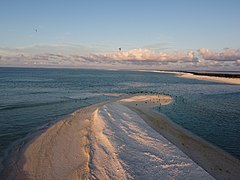 Flora, Fauna and landscapes from The Thirteen Islands of St. Brandon