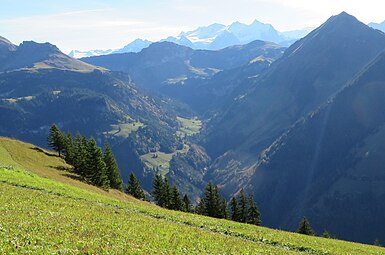 Blick ins kleine Melchtal