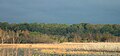 Lake Jackson (Tallahassee, Florida), USA, with storm approaching. September 2005.