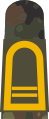Obermaat BA (Navy senior mate boatswain aspirant, field uniform mounting strap)