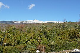 Vue sur le sommet entre le virage du bois et la route forestière de Perrache.