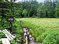 Shirakoma Moor on the way to Mount Nyū