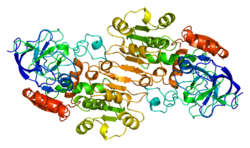 Alkoholdehydrogenase