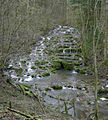 Lillach bei Weißenohe, Bayern – im Fließgewässer