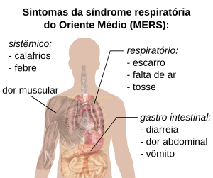 Diagrama de sintomas de MERS.