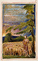 Songs of Innocence and of Experience, copy AA, 1826 (The Fitzwilliam Museum) object 5 ‎