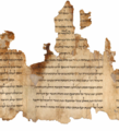 Image 20Portion of the Temple Scroll, one of the Dead Sea Scrolls written by the Essenes (from History of Israel)