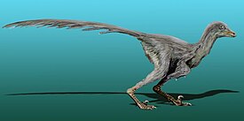 Tianyuraptor в представлении художника