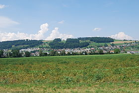 Wauwil