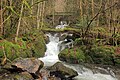 Vue en contrebas du chemin forestier