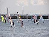 稲毛海浜公園（検見川の浜）