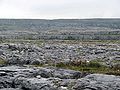 Paysage typique du parc national du Burren.