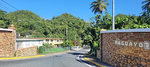 Puerto Rico Highway 659 in Maguayo