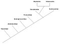 Image 5A phylogenetic tree showing the relationships among cetacean families. (from Evolution of cetaceans)