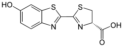 Strukturformel von Luciferin