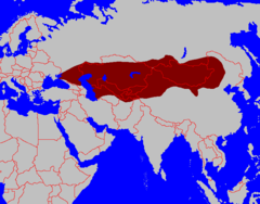 Mapa opisywanego kraju