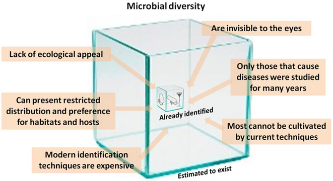 Microbial diversity Comparative representation of the known and estimated (small box) and the yet unknown (large box) microbial diversity, which applies to both marine and terrestrial microorganisms. The text boxes refer to factors that adversely affect the knowledge of the microbial diversity that exists on the planet.[276]