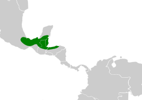 Distribución geográfica de la tangara gorjinegra.