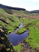 View south from Davidson's Linn