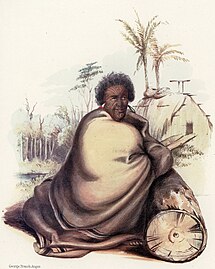 Pōtatau Te Wherowhero (1858–1860)
