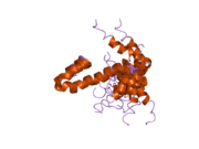 2g31: Human Nogo-A functional domain: nogo60