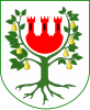 Coat of arms of Międzychód
