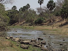 La Pendjari, entre le Burkina Faso et le Bénin