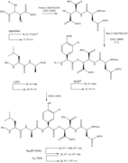 3 - Synthesis of Depsipeptide subunit