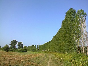 Самур-Яламинский национальный парк В окрестностях станции