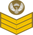 Staff sergeant (South African Army)[37]
