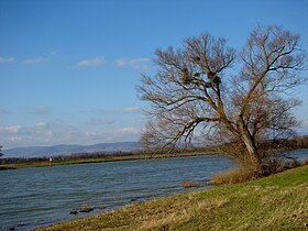 Image illustrative de l’article Val de Saône (région naturelle)