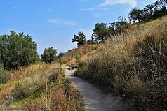 camino entre lomerios.