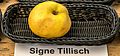 Signe Tillisch