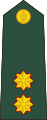 Lieutenant (Sri Lanka Army)[74]